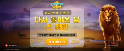 실시간 슬롯 잭팟 도전