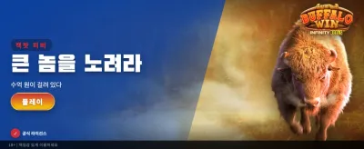 압도적인 배당률의 토토사이트